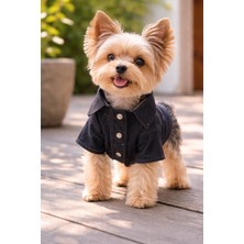 Zenpaw Koyu Lacivert Kot Köpek Gömleği-Çıtçıtlı Yakalı Şık Köpek Kıyafeti