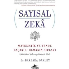 Data Store Sayısal Zeka: Matematik ve Fende Başarılı Olmanın Sırları (Cebirden Kalmış Olsanız Bile)