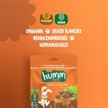 NessiWorld Organik Havuçlu Tarçınlı Vegan Kek 30 gr
