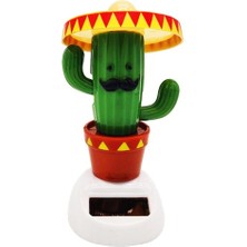 Ett Solar Enerjili Dans Eden Şapkalı Kaktüs