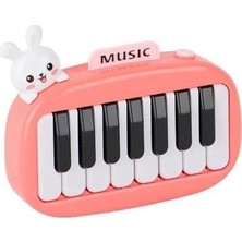 NessiWorld 8896-1B Kutuda 12Lİ Pilli Piano -Cn