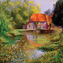 NessiWorld 20776 Puzzle 1000 Hampshire Millpoll