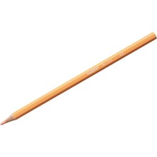 NessiWorld Pastel Renkli Kuru Boya Kalemi 24'lü