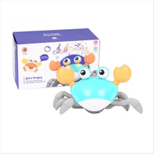 NessiWorld SH40381 Kut.pilli Yengeç -Zrv