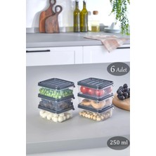 Mikasso 6 Adet 250 ml Dondurucu Sızdırmaz Kapak Buzluk Saklama Kabı Plastik Gri