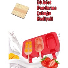 Mikasso 50 Çubuk Hediyeli Dondurma Kabı Magnum Silikon 3'lü Pratik Dondurma Yapma Kalıbı 1 Adet Silikon