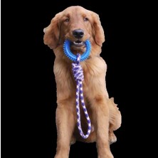 Mixpet Interaktif Çekme Halatlı Köpek Oyuncağı 43 cm