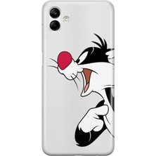 Mobilpad Samsung Galaxy A06 Uyumlu Baskılı Yumuşak Silikon Şeffaf Telefon Kılıfı