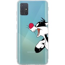 Mobilpad Samsung Galaxy A71 Uyumlu Baskılı Yumuşak Silikon Şeffaf Telefon Kılıfı