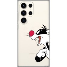 Mobilpad Samsung Galaxy S25 Ultra Uyumlu Baskılı Yumuşak Silikon Şeffaf Telefon Kılıfı