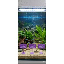 Asi 3D Tasarım Akvaryum Dekoratif Mizahi Tabela Seti - 3'lü Modern Mor Seri 7x5 cm
