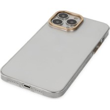 Dadya Milla Ddy  iPhone 13 Pro Kılıf Anka Pc Sert Metal Kapak - Şeffaf Mil