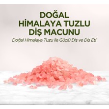 Dadya Milla Ddy Doğal Diş Macunu 90 gr Himalaya Tuzlu Mil