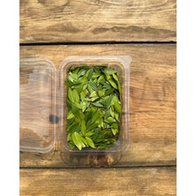 Kırsal Esinti Taze Murt (Mersin) Yaprağı - Hambeles Leaf