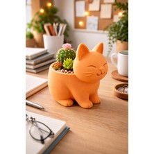 Otscraft Studio Sevimli Kedi Tasarımlı Dekoratif Kaktüs & Sukulent Saksısı