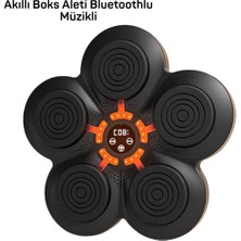 MK Beykoz Müzik Box Makinesi