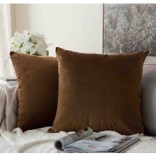 Ayzen Home 2 Adet 43X43 Kadıfe Kırlent