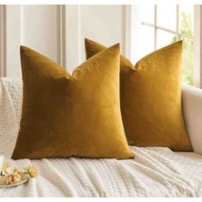 Ayzen Home 2 Adet 43X43 Kadıfe Kırlent