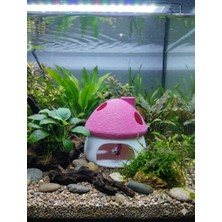 Asi 3D Tasarım Akvaryum Dekoratif Pembe Mantar Ev Suya Batan Model 8x8 cm