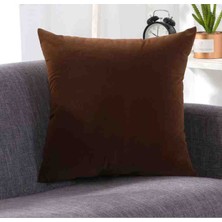Ayzen Home 2 Adet 43X43 Kadıfe Kırlent