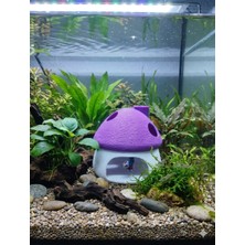 Akvaryum Dekoratif Mor Mantar Ev Suya Batan Model 8x8 cm