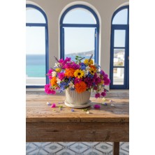 Fılamentim Floranti Ribella Tasarım Dekoratif Saksı 120X120X120MM NO.1021.10.KR-09