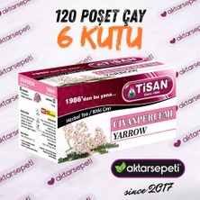 Tisan Civanperçemi Çayı | 6 Kutu | 120 Poşet Çay