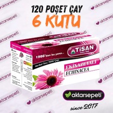 Tisan Ekinazeyalı Çay | 6 Kutu | 120 Poşet Çay