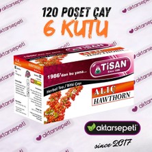 Tisan Alıç Çayı | 6 Kutu | 120 Poşet Çay