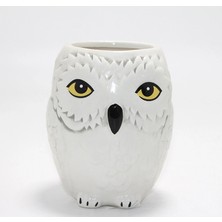 Derin Stok Harry Potter Hedwig Tasarım Porselen Kupa Bardak ALK4494
