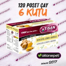 Tisan Zencefil Limon Aromalı Çay | 6 Kutu | 120 Poşet Çay