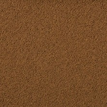 Tropical Insect Menu Granules Xxs 50 gr Açık