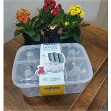 La Push Concept Şeffaf, Pratik ve Şık Taşıma Kabı, Çay Bardağı Için Ideal, Kolay Kullanımlı ve Şeffaf Tasarım