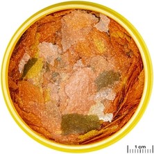 Jbl Pro Novo Tanganyika Flakes M 50 Gram Balık Yemi