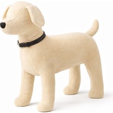 Willypet Köpekler Için Ince Deri Boyun Tasması – 40 cm