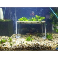 LTG Nova Alkali Su Arıtma Sürahisi - Dijital Göstergeli 2.5 Litre Içim