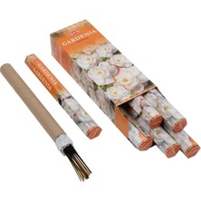 Epilons Gardenia Hexa