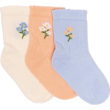 Hellobaby Kız Bebek 3lü Soket Çorap Ayı Baskılı