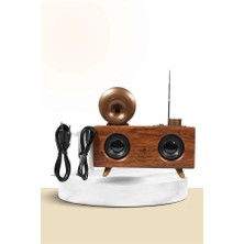 Eco Port Nostaljik Radyo Bluetooth Bağlantılı Şarjlı Yüksek Ses Kaliteli