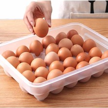 Marsilyan Buffer® 30LU Yumurta Saklama Kabı