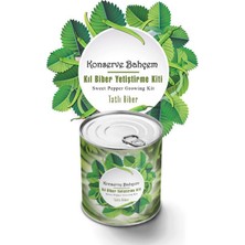 Marsilyan Buffer® Konserve Bahçem Evde Konservede Tatlı Sivri Biber Yetiştirme Kiti