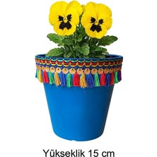 Marsilyan Nf Dekoratif Saksı 1.7 Litre