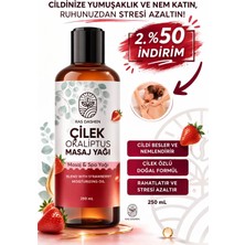 Ras Dashen Premium Kalite  Afrodizyak Etkili ( Çilek - Okaliptus ) Masaj Yağı 250 ml