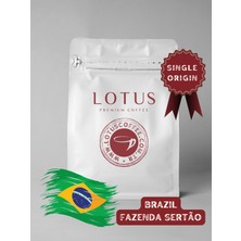 Lotus Coffee Brezilya Fazenda Sertão Single Origin Çekirdek Kahve