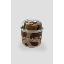  Defne Baby Cupcake Kutulu Premium Pamuklu Unisex Çocuk Patik Çorap Seti - Coffee Serisi