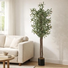 Yapay Çiçekçiniz Siyah Renkli Saksı Gerçek Gövdeli 150 cm Yapay Zeytin Ağacı