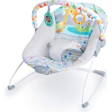 Bright Starts Bebek Salıncağı, Rahatlatıcı Titreşimli Bebek Ana Kucağı