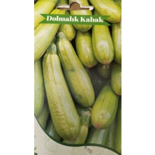 Ganiyy Dolmalık Kabak Tohumu