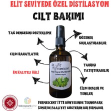 Fermescent Aslan Pençesi Otu Suyu Hidrosolü Sebum Sıkılaştırıcı Elastikiyet Destekleyici Tonik 100 ml