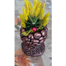 Taş Saksıda Sukukent Tasarım